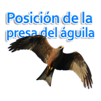 La postura del sauce