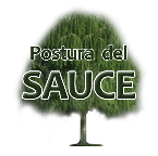 La postura del sauce